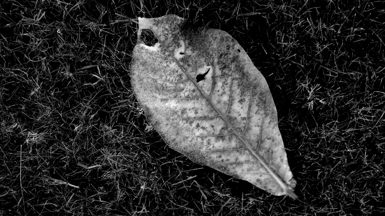 015-DSC00066-Version2